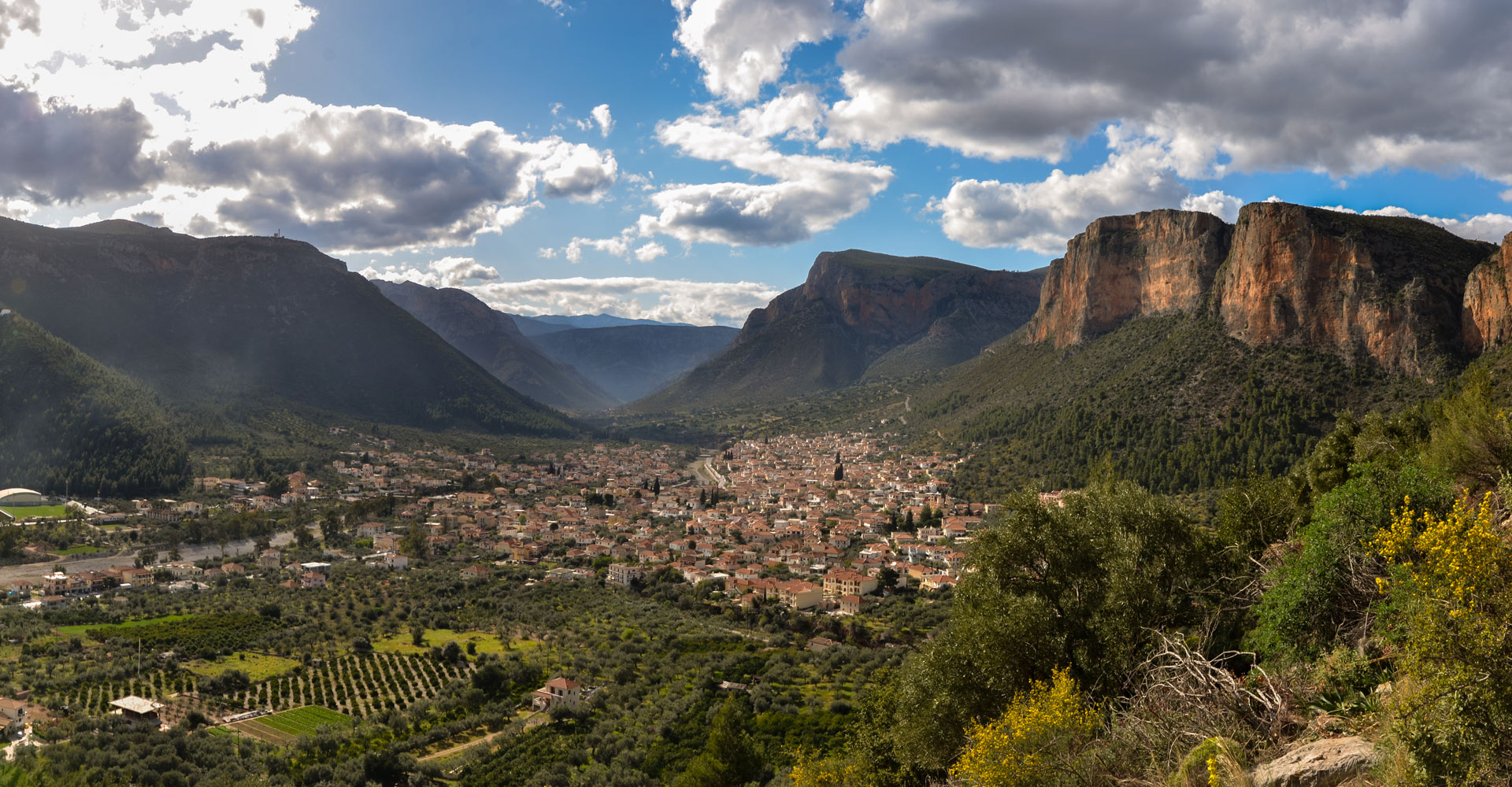 viewleonidio